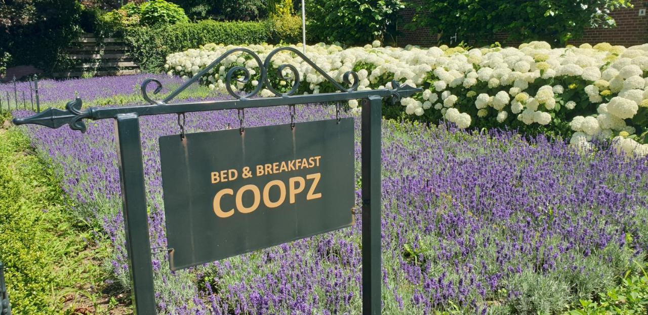 Bed & Breakfast Coopz ดอตตินเฮ็ม ภายนอก รูปภาพ